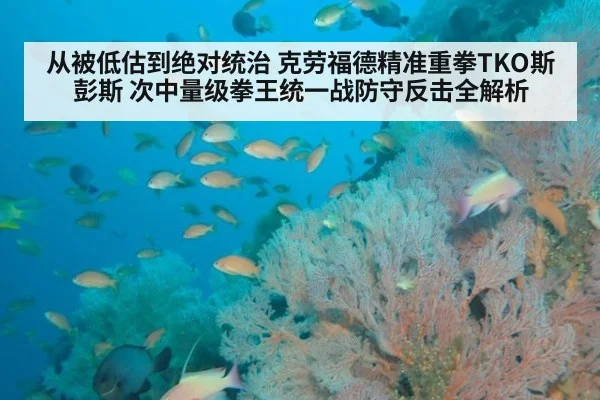 从被低估到绝对统治 克劳福德精准重拳TKO斯彭斯 次中量级拳王统一战防守反击全解析