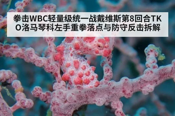 拳击WBC轻量级统一战戴维斯第8回合TKO洛马琴科左手重拳落点与防守反击拆解