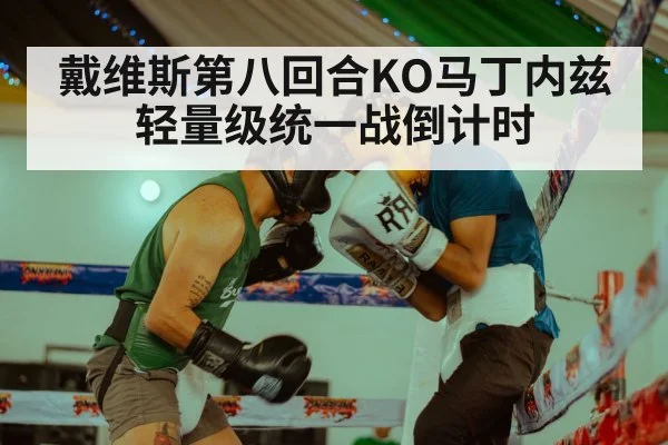 戴维斯第八回合KO马丁内兹 轻量级统一战倒计时
